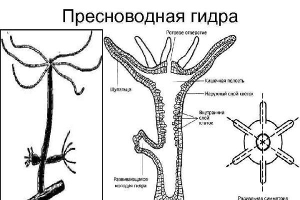 Маркетплейс омг